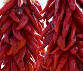 New Mexican Chiles Ristras used for Cooking and Decoration